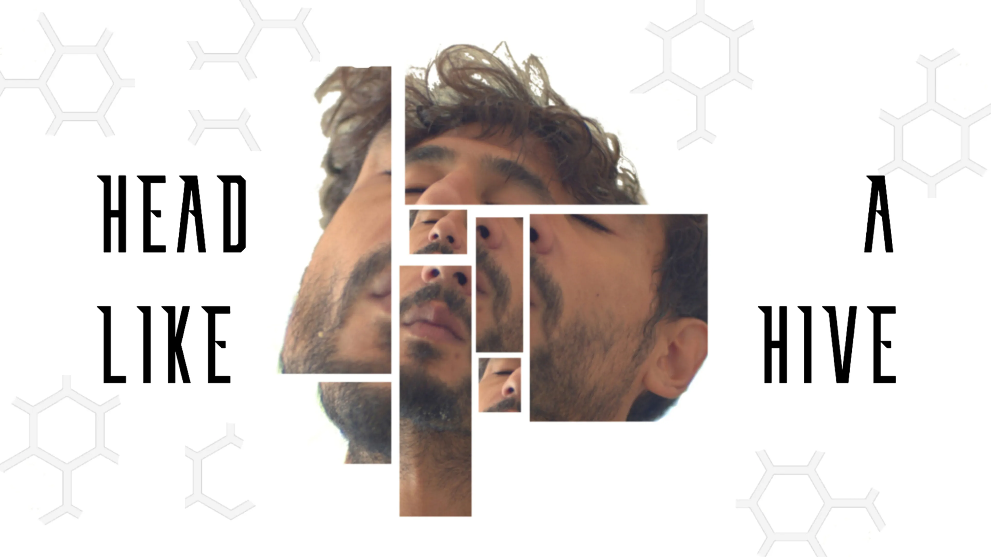 Head like a Hive poster